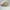Converse Streetwear Hat Pria tan photo 4