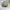 Converse Streetwear Hat Pria tan photo 5
