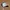Vintage Streetwear Hat Pria white black photo 3