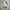 Japanese brand Y2K Bag Pria white black photo 1