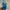 Minimalist Wanita blue photo 4