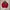 The North Face Sportswear Fleece Pria red photo 2