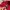 The North Face Sportswear Fleece Pria red photo 6