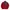 The North Face Sportswear Fleece Pria red photo 1