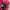 Uniqlo Streetwear Gorpcore Puffer jacket Pria red black photo 5