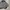 The North Face Vintage Bomber jacket Pria gray photo 3