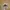 Vintage Streetwear Hat Pria tan black photo 4