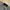 Vintage Streetwear Hat Pria tan black photo 5