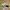 Vintage Streetwear Hat Pria tan black photo 3