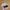 Vintage Streetwear Hat Pria tan navy photo 1