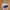 Vintage Streetwear Hat Pria Tan Navy