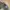 Vintage Streetwear Hat Pria tan navy photo 5