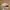 Vintage Streetwear Hat Pria tan navy photo 3