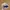 Vintage Streetwear Hat Pria Tan Navy
