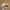 Vintage Streetwear Hat Pria tan navy photo 3