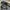 Gorpcore Sportswear Parka Pria black photo 3