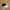 Vintage Streetwear Hat Pria tan navy photo 1