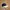 Vintage Streetwear Hat Pria Tan Navy