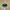 Vintage Streetwear Hat Pria green tan photo 4