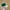 Vintage Streetwear Hat Pria green tan photo 1