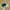Vintage Streetwear Hat Pria green tan photo 3