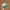 Vintage Streetwear Hat Pria white green photo 1