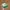 Vintage Streetwear Hat Pria White Green