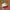 Vintage Streetwear Hat Pria white red photo 1