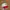 Vintage Streetwear Hat Pria White Red
