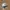 Vintage Streetwear Hat Pria white green photo 1