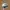 Vintage Streetwear Hat Pria White Green