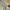 Vintage Streetwear Hat Pria white green photo 5