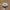 Vintage Streetwear Hat Pria White Green