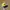 Vintage Streetwear Hat Pria black yellow photo 1