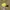 Vintage Streetwear Hat Pria black yellow photo 3