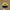 Vintage Streetwear Hat Pria black yellow photo 2