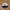 Vintage Streetwear Hat Pria White Black