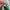 Puma Streetwear Sneakers Pria green pink photo 2