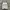Guess Minimalist Hoody Pria White