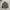 Polo Ralph Lauren Casual Formal shirt Pria brown photo 2