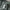 Guess Jeans Basic Hunter Green Chinos Shorts MF0W9910 photo 8