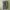 Jeep Spirit Zhan Di Ji Pu Basic Brown Cream Cargo Shorts photo 3