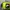 Fila Streetwear Casual Bag Pria green black photo 2