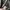 Oakley Avant Garde Bag Pria multicolor photo 8