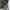 Oakley Avant Garde Bag Pria multicolor photo 5