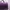 Lonsdale Casual Messenger bags & Satchel Wanita purple photo 2