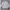 Dunlop Streetwear Sportswear Track Jacket Pria White Cream