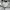 Dunlop Streetwear Sportswear Track jacket Pria white cream photo 4