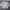 Dunlop Streetwear Sportswear Track jacket Pria white cream photo 6