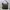 A Bathing Ape Streetwear Casual Bag Pria multicolor photo 1